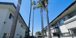 Cross Roads Apartments Gallery 9