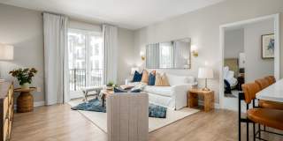 The Canopy Gallery 4