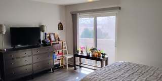 3061 Pheasant Creek Drive Gallery 21