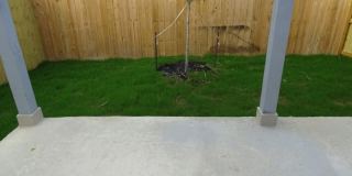6407 Luglio Lane #101, San Antonio, TX. 78233 Gallery 39