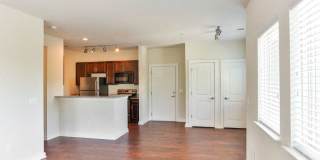 Vyne On Central Gallery 18