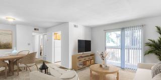 The Everett Gallery 2