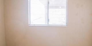 SMALL DOG FRIENDLY!!!  Meadow Street House Gallery 20