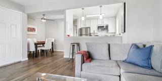 Terra House Apartments Gallery 13