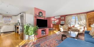 9 White Terrace Gallery 28