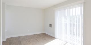 The Zimmer Gallery 20