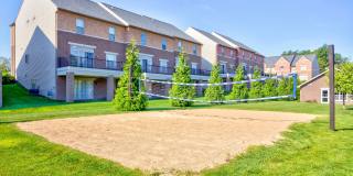 Irish Flats Gallery 3