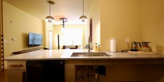 Settlement Place Gallery 231