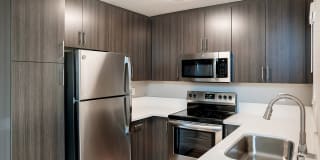 Central Park Gallery 5