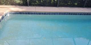 Beautiful 3 Bedroom +Den Pool Home for Rent!!! Gallery 25