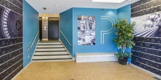 The York and Potomac Park Gallery 29