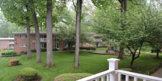 Glenmont Forest Gallery 32