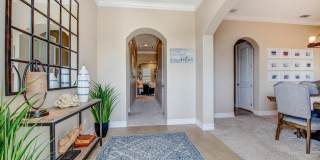 7137 Vilano Lane Gallery 2