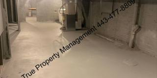 Spacious 5 Bedroom Home with Large Backyard & In-Unit Washer/Dryer Gallery 21