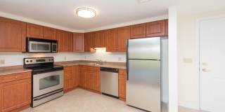 Chestnut Hill East Gallery 12