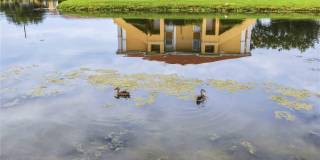 1025 VILLAGIO Circle Gallery 47