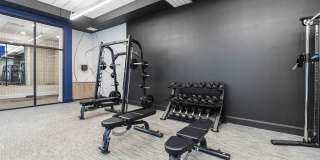 Dream Boyd Theatre Gallery 22