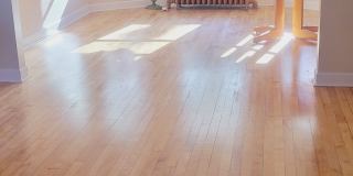3807 North Narragansett Avenue 3807 North Narragansett Avenue Gallery 1