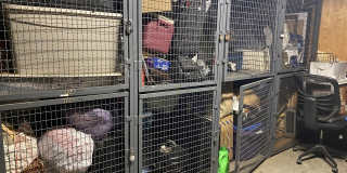 1127 W FARWELL Avenue Gallery 14