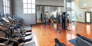 LINQ LINQ Gallery 26