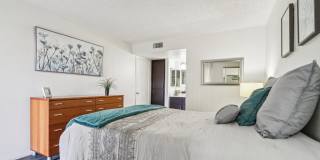 Del Coronado Gallery 13