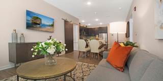 Woodmont Townsquare Gallery 12