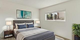 Aurora Vista Gallery 22