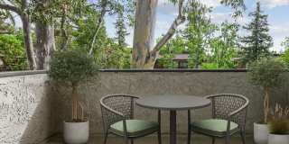 AVA Pasadena Gallery 4