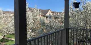436 BOARDWALK Drive Gallery 9