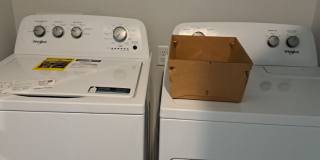 318 Brandon Lakes Dr (TP) Gallery 15