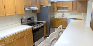 Great 4BR/2BA South Tampa home with Large fenced yard. Gallery 6