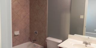 6739 TERRA RYE Gallery 21