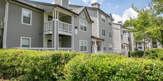 The Carlyle at Perimeter Apartments Gallery 28
