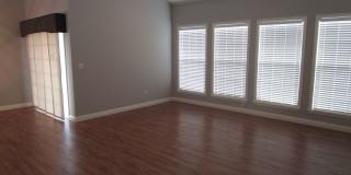 Huge 3BR/3BA Villa at Boulder Springs - Available July!! Gallery 5