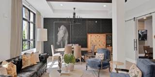 Palmera Gallery 17