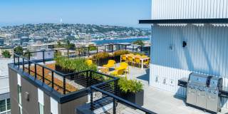 Alt Capitol Hill Alt Capitol Hill Gallery 8