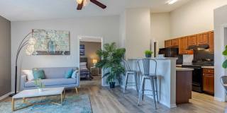 51 at Southaven Gallery 2