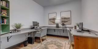 Park Lane Village Gallery 24