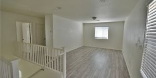 3041 Lake Como Avenue Gallery 17