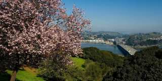 Summit at Sausalito Apartments Gallery 26