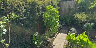 Epic REA- Serene 2 BR/1 BA Flat w/Private Deck & Yard in Lone Mountain Gallery 57