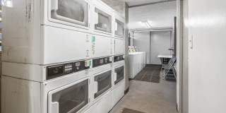 2509 Ala Wai Boulevard #503 - 503 Gallery 11