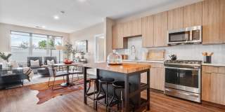 Canter Green Gallery 8