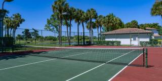 Cameron Cove Gallery 18