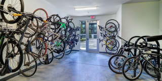 The Hite and Notch Gallery 24