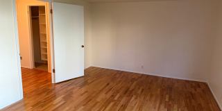 Park Manor Gallery 25