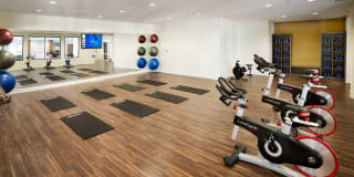 Kensington Place Gallery 20