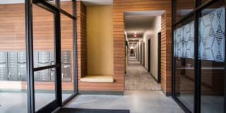 Pinnex Gallery 38