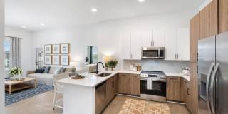 Silas Park Gallery 16