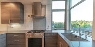 3Bd/2.5Ba Seattle Townhome Gallery 5